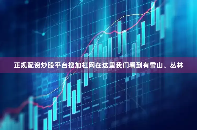 正规配资炒股平台搜加杠网在这里我们看到有雪山、丛林