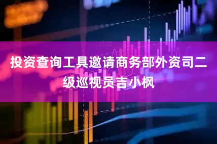 投资查询工具邀请商务部外资司二级巡视员吉小枫