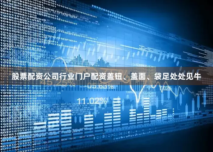 股票配资公司行业门户配资盖钮、盖面、袋足处处见牛